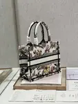 Small Dior Book Tote