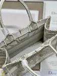 Small Dior Book Tote