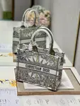 Small Dior Book Tote