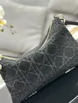 Dior Dream Bag