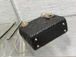 Mini Lady Dior Bag
