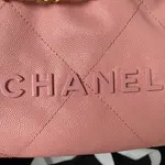 Chanle 22 Backpack Mini