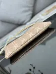 Dior Dream Bag