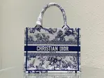 Small Dior Book Tote
