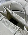 Large Dior Book Tote