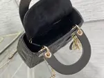 Mini Lady Dior Bag