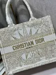 Small Dior Book Tote