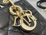 LADY D-JOY MICRO BAG