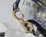 Saddle Bag