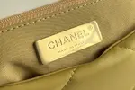 Chanle 19 Handbag