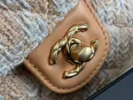 Chanle Flap Bag