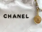Chanle 22 Backpack