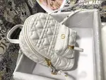 Dior Backpack