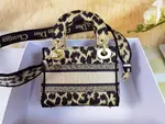 Mini Lady Dior Bag