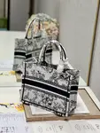 Small Dior Book Tote