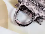 Small Dior Book Tote