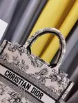 Small Dior Book Tote