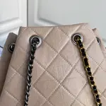 Chanle Hobo Bag