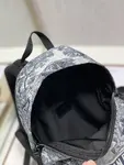 Dior Backpack
