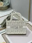 Mini Dior Book Tote