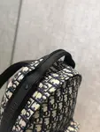 Dior Backpack