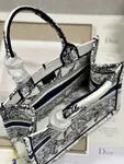 Small Dior Book Tote