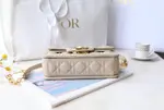 Dior Jolie Bag