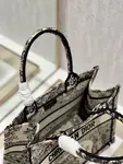 Small Dior Book Tote