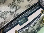 Medium Lady D-lite Bag