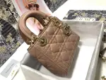 Mini Lady Dior Bag