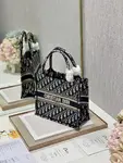 Small Dior Book Tote