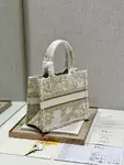 Small Dior Book Tote