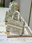 Small Dior Book Tote