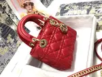 Mini Lady Dior Bag