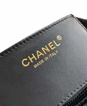 Chanel 25s Hobo Bag