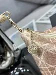 Dior Dream Bag