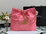 Chanle 22 Backpack