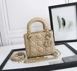 Mini Lady Dior Bag