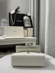 Chanle Small Classic Handbag Silver Hardware