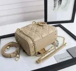 Mini Lady Dior Bag