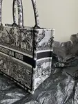 Small Dior Book Tote