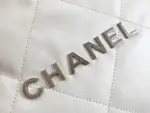 Chanle 22 Backpack