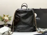 Chanle 22 Backpack