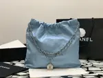 Chanle 22 Backpack