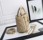 Mini Lady Dior Bag