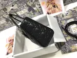 Medium Lady Dior Bag