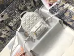 Dior Backpack