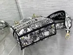 Mini Lady Dior Bag