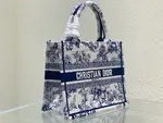 Small Dior Book Tote