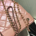 Chanle Hobo Bag